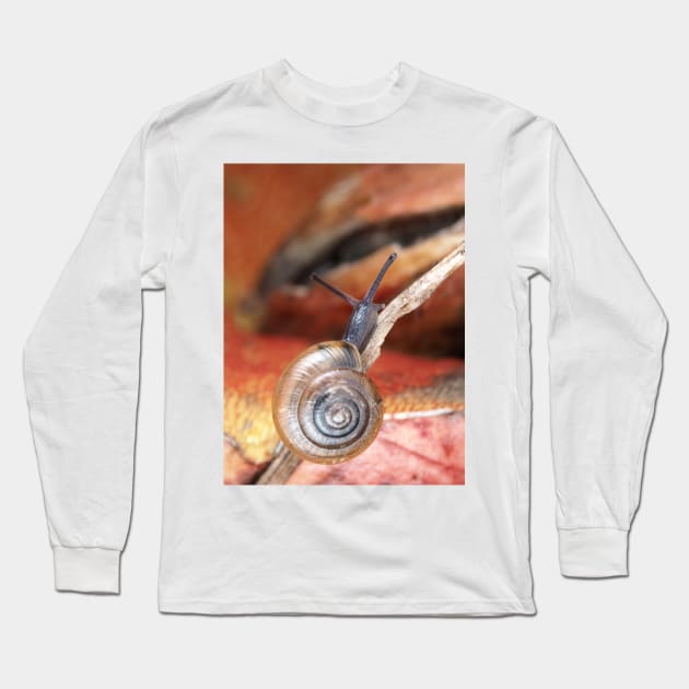 Tiny snail Long Sleeve T-Shirt by SDym Photography